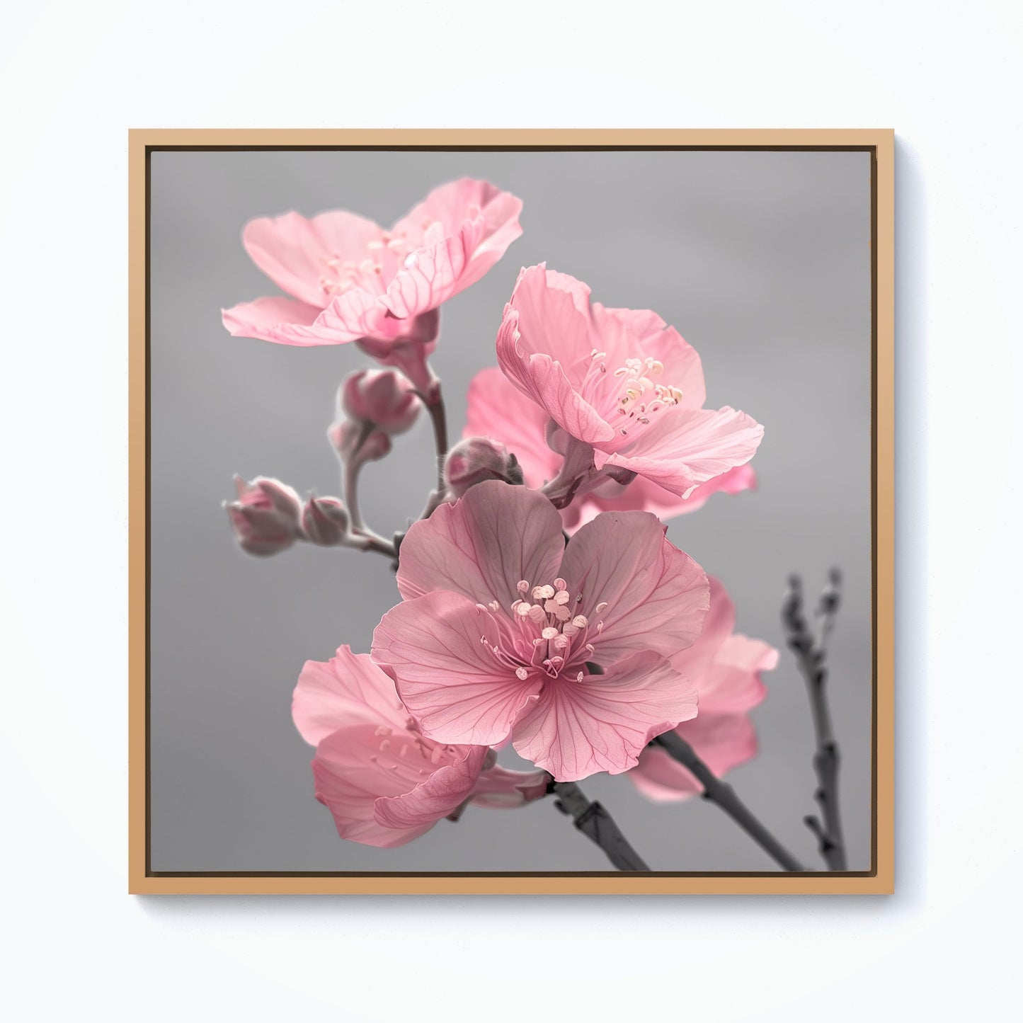 Delicate Pink Flowers Framed Canvas