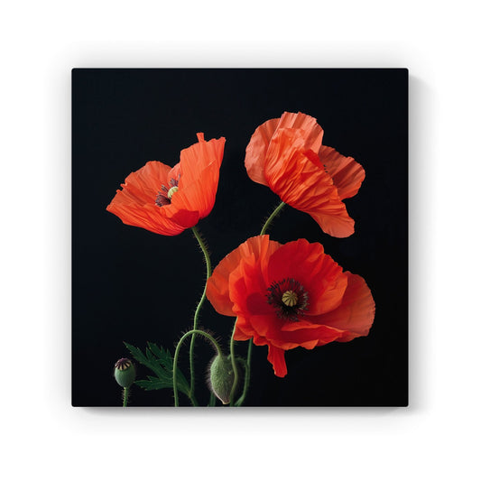 Poppies Canvas