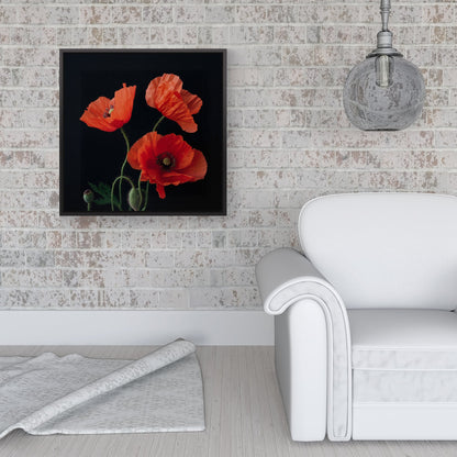 Poppies Framed Canvas