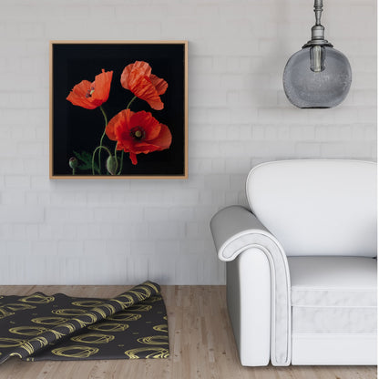 Poppies Framed Canvas