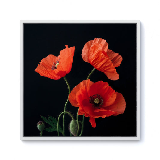 Poppies Framed Canvas