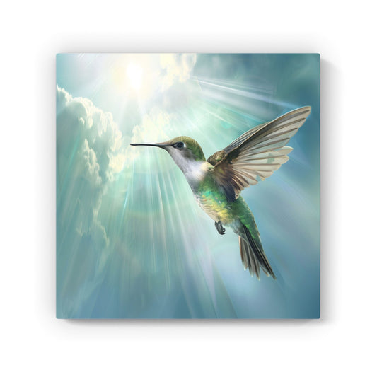 Hummingbird In A Beautiful Sky Canvas