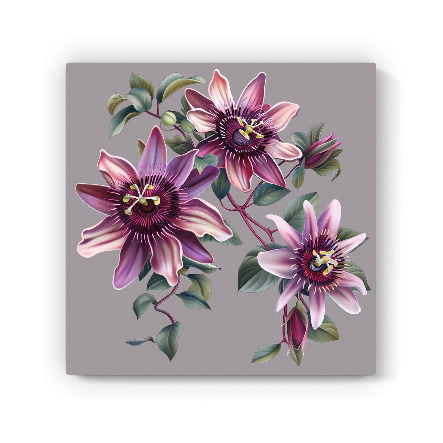 Purple Passion Flowers Canvas