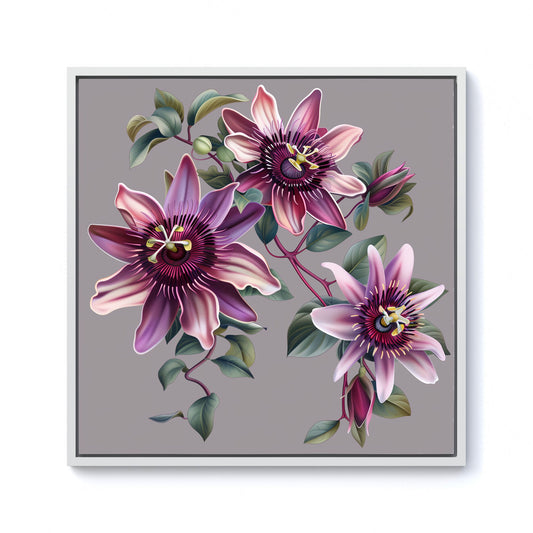 Purple Passion Flowers Framed Canvas