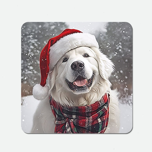 Christmas White Newfoundland Coasters