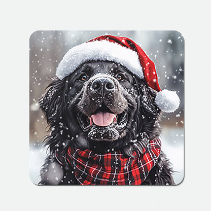 Christmas Newfoundland Coasters