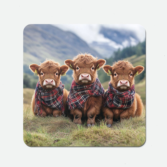 Trio Of Baby Highland Cows Coasters