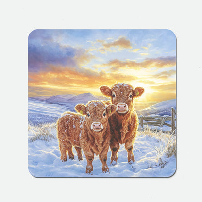 Snowy Baby Highland Cows Coasters