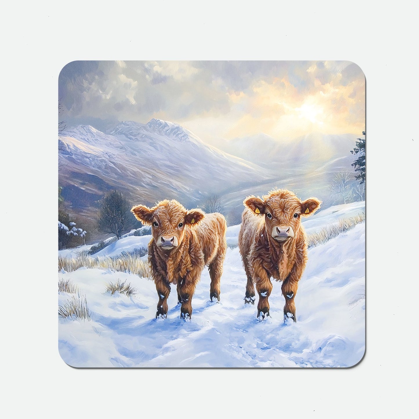 Due Of Baby Highland Cows Coasters