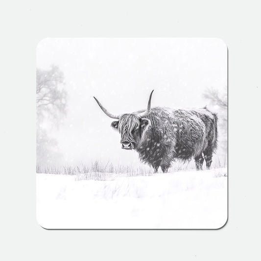 Snowy Black And White Highland Cow Coasters