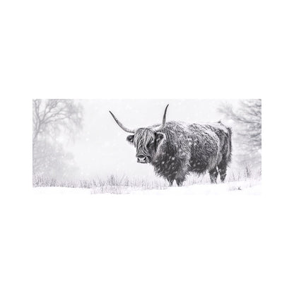 Snowy Black And White Highland Cow Glass Bathroom Splashback