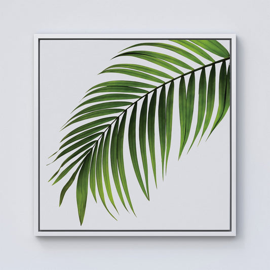 Single Palm Leaf Framed Canvas