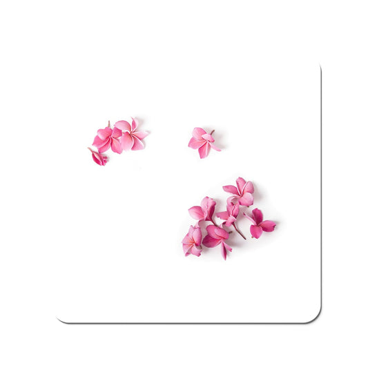 Pink Frangipani Flowers Coasters