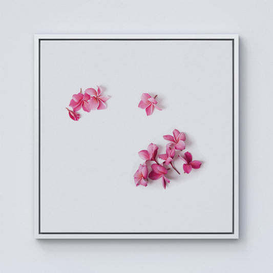 Pink Frangipani Flowers Framed Canvas