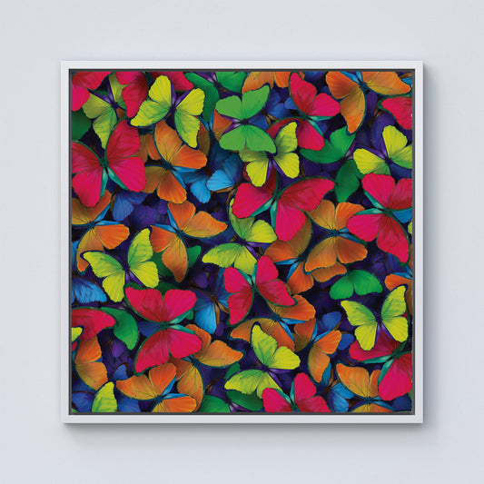 Rainbow Butterflies Framed Canvas