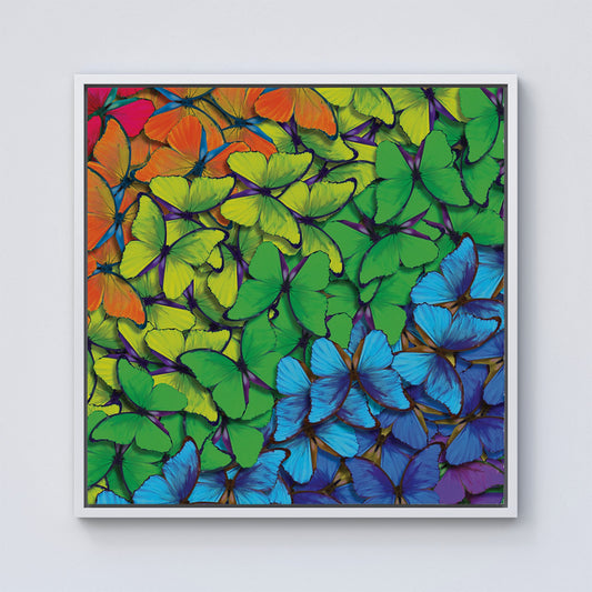 Multicoloured Butterflies Framed Canvas