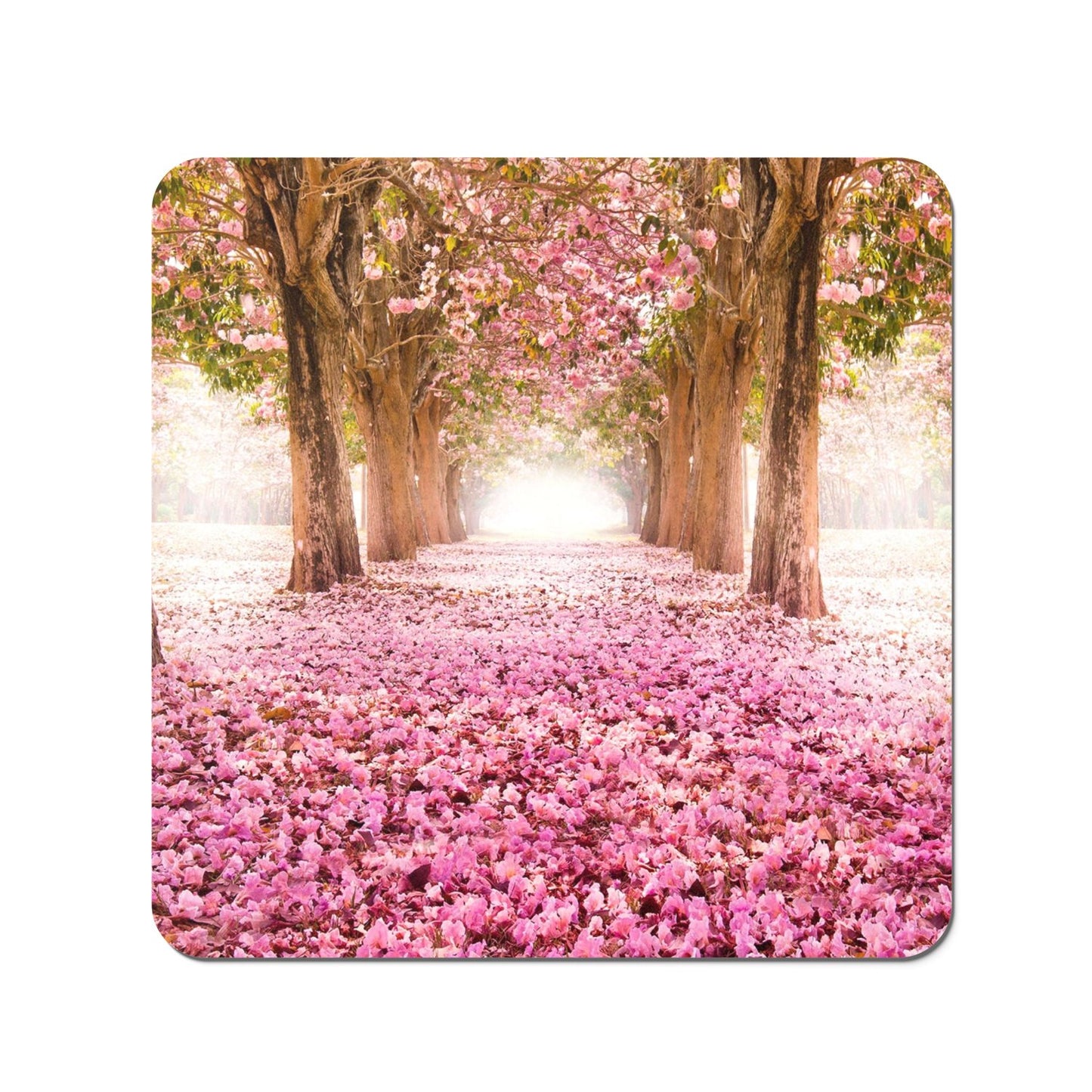 Pink Flower Tree Tunnel Coasters