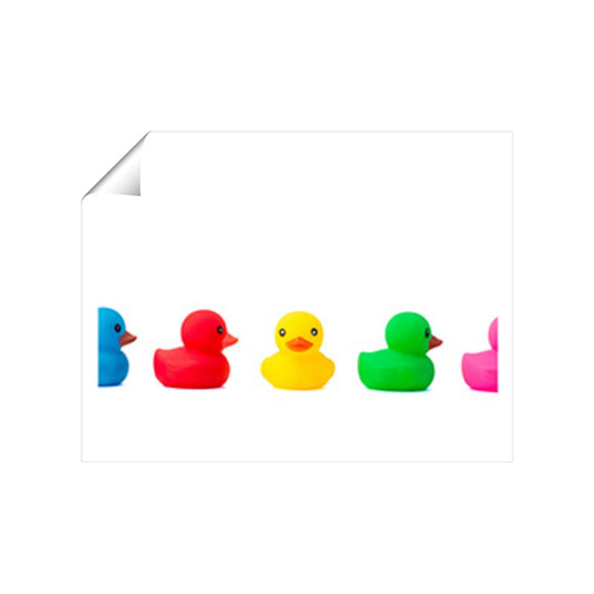 Coloured Rubber Ducks Art Prints