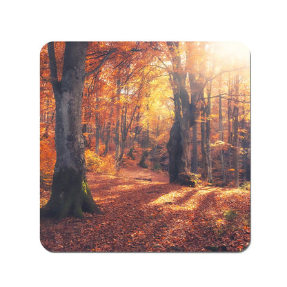 Autumn Forest Coasters