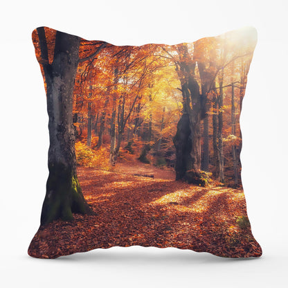 Autumn Forest Outdoor Cushion