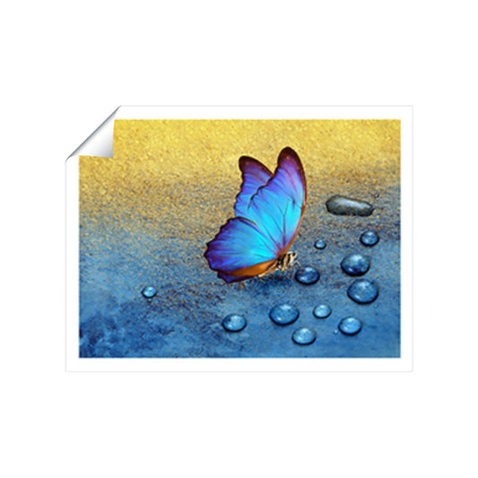 Butterfly On Dew Drops Art Prints