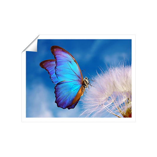 Butterfly And Dandelion Art Prints