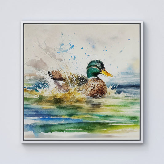 Splashing Mallard Watercolour Framed Canvas