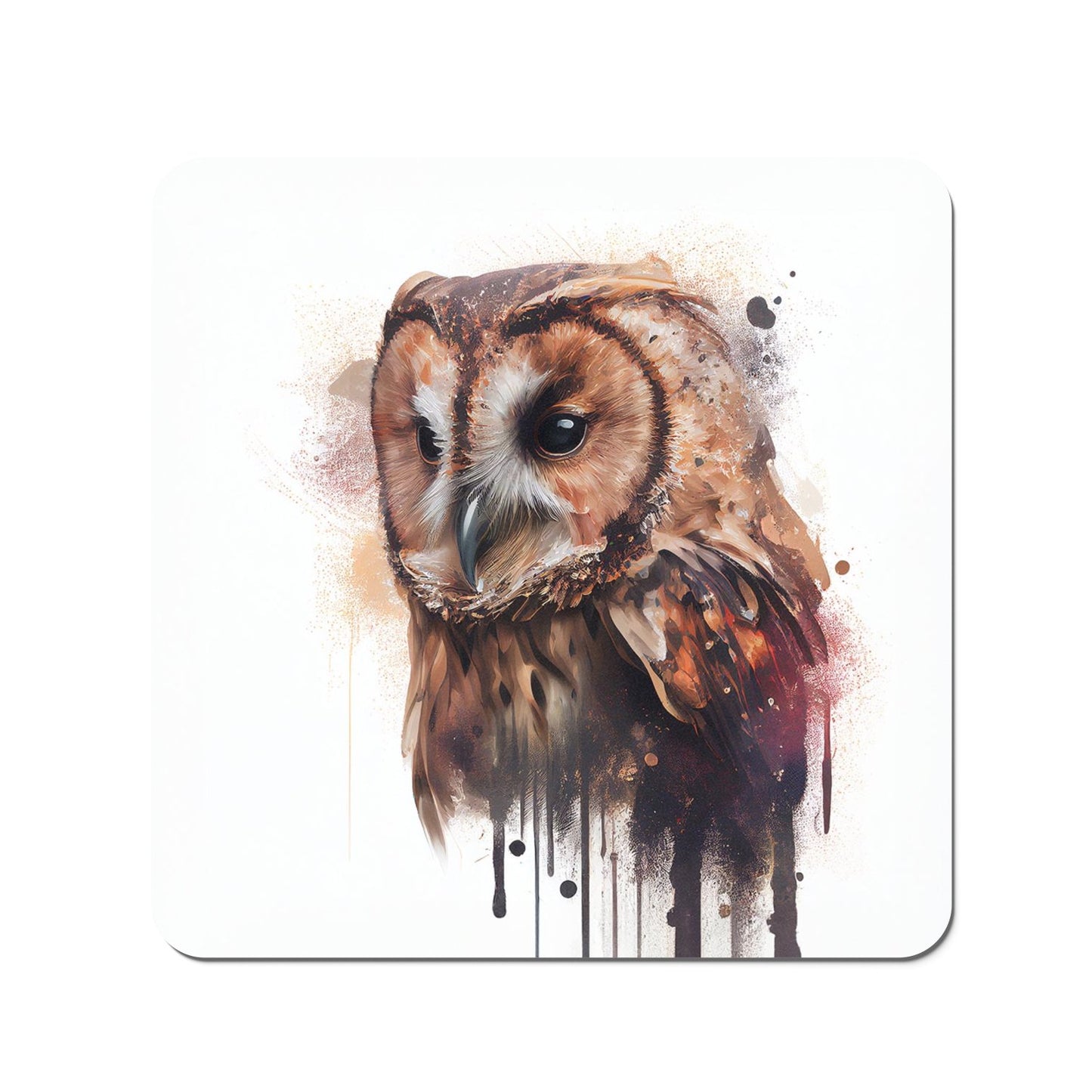 Tawny Owl Face Splashart Light Background Coasters