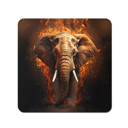 Splashart Elephant and fire Coasters